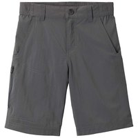 columbia-shorts-pantalons-silver-ridge iv